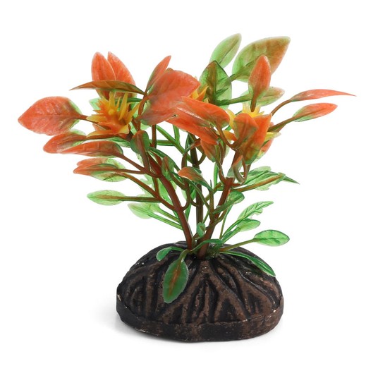 Изображение на странице