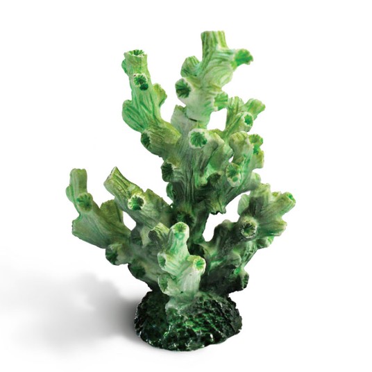 Изображение на странице