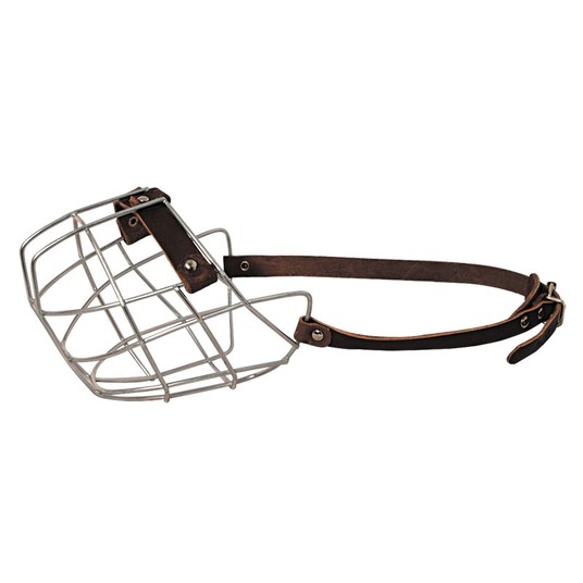 Изображение на странице