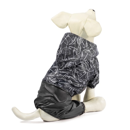 Изображение на странице