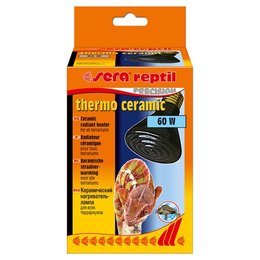 Изображение на странице