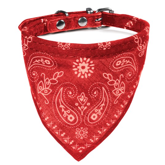 Изображение на странице