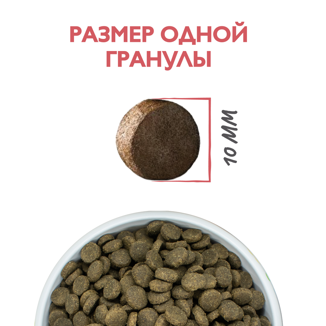 Изображение на странице