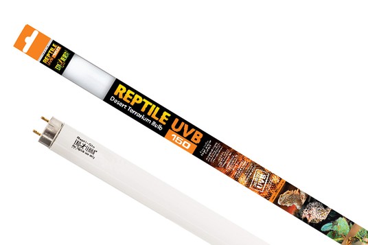 Изображение на странице