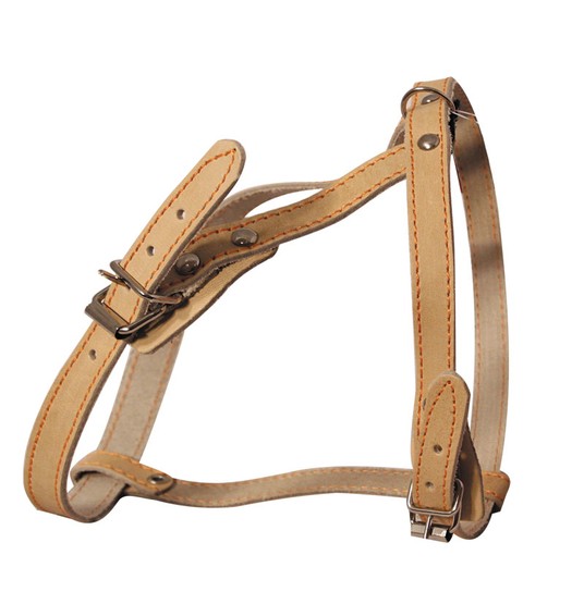 Изображение на странице