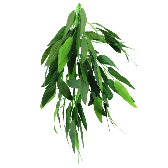 Изображение на странице