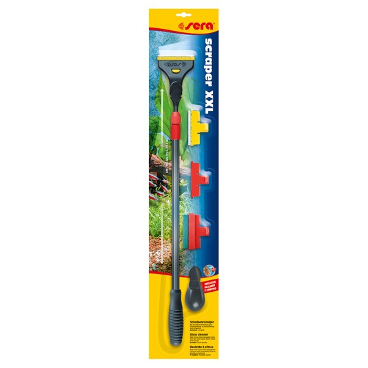 Изображение на странице