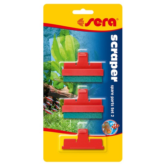 Изображение на странице