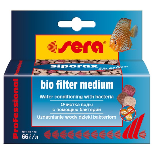 Изображение на странице