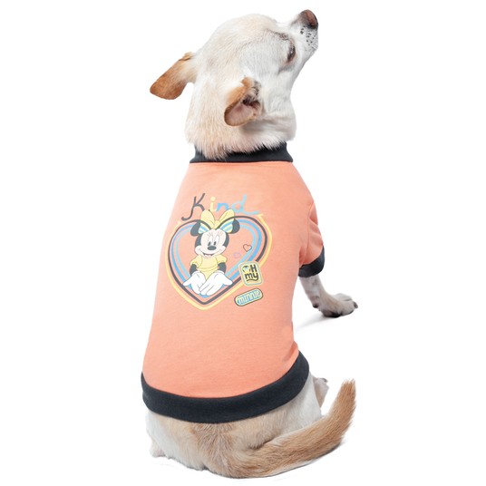 Футболка Disney Minnie Vintage S, размер 25см