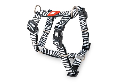 Изображение на странице