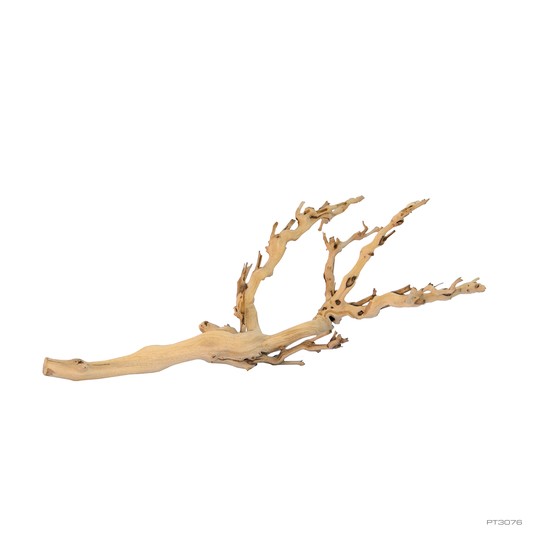 Изображение на странице