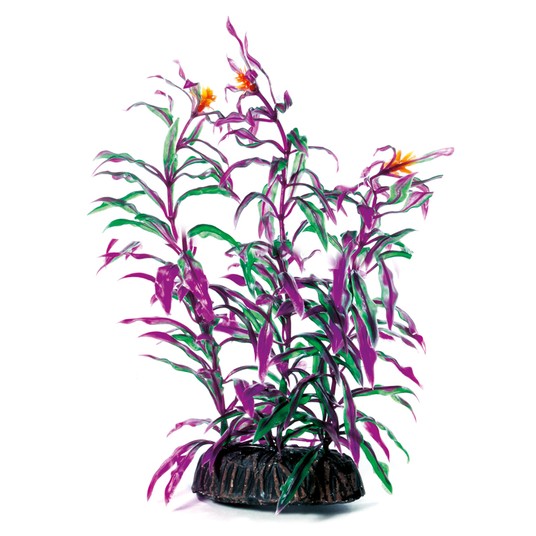 Изображение на странице