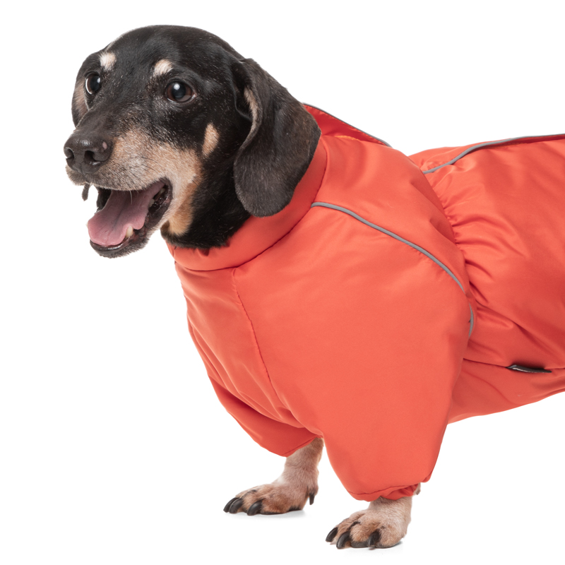 Комбинезон зимний "Такса" терракотовый L, 46см 2