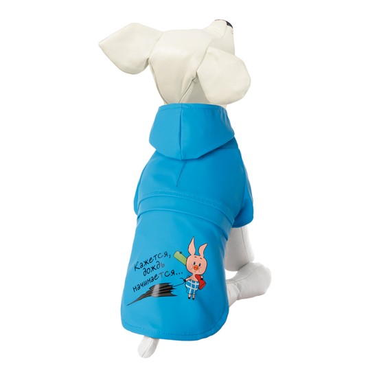 Изображение на странице