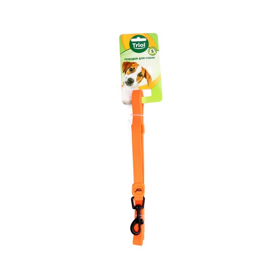 Изображение на странице