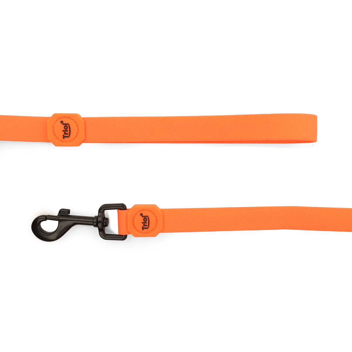 Изображение на странице