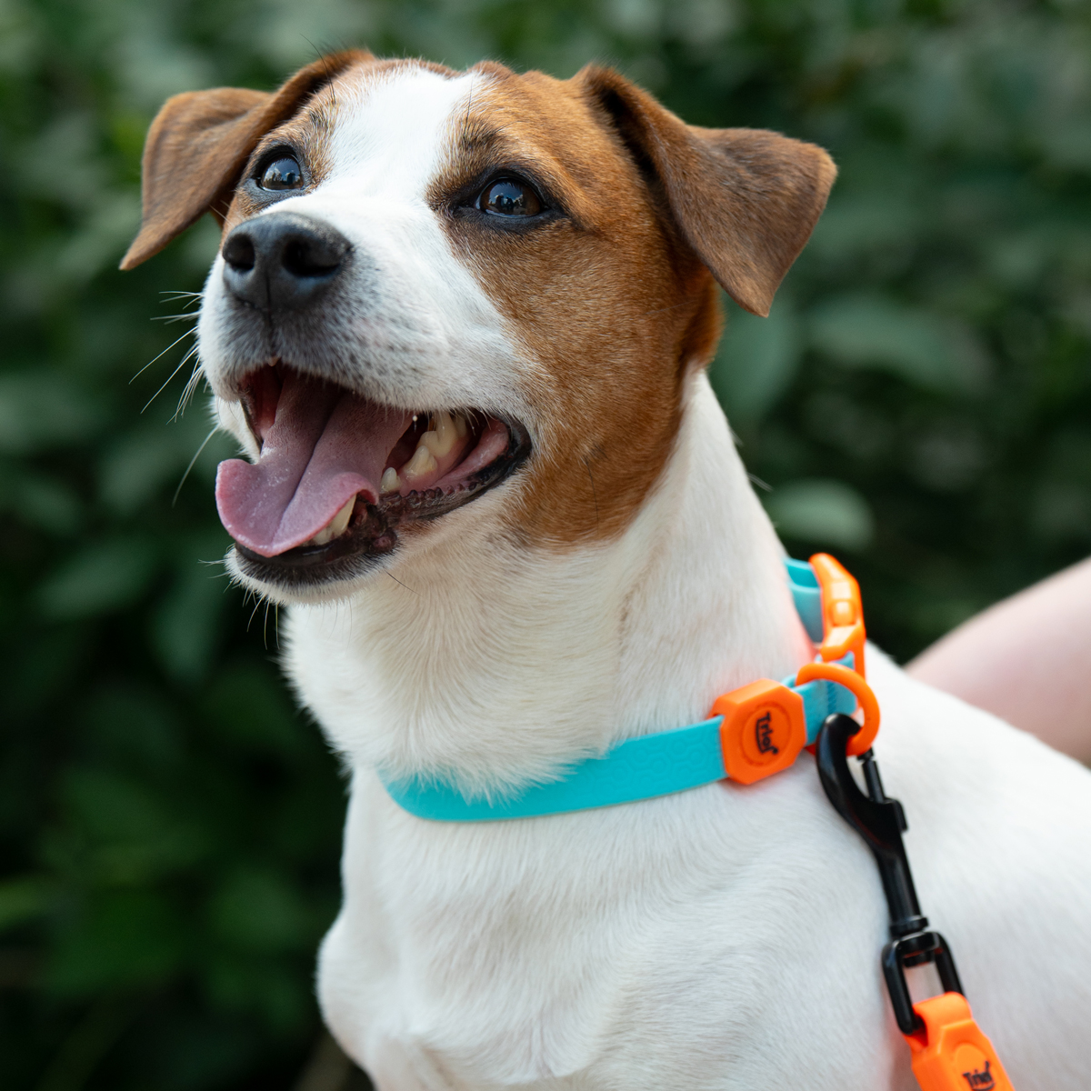 Изображение на странице