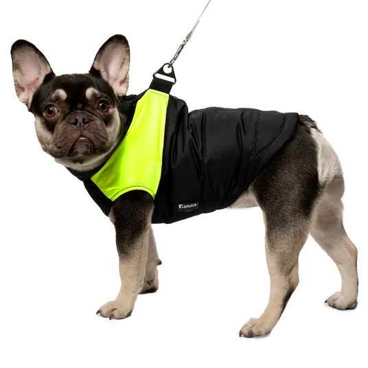 Изображение на странице