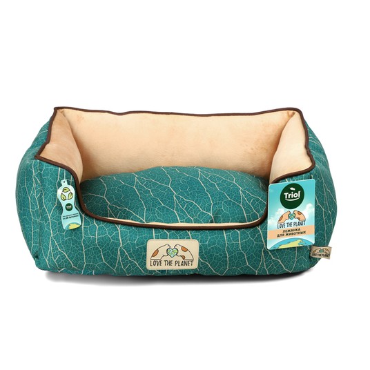 Изображение на странице