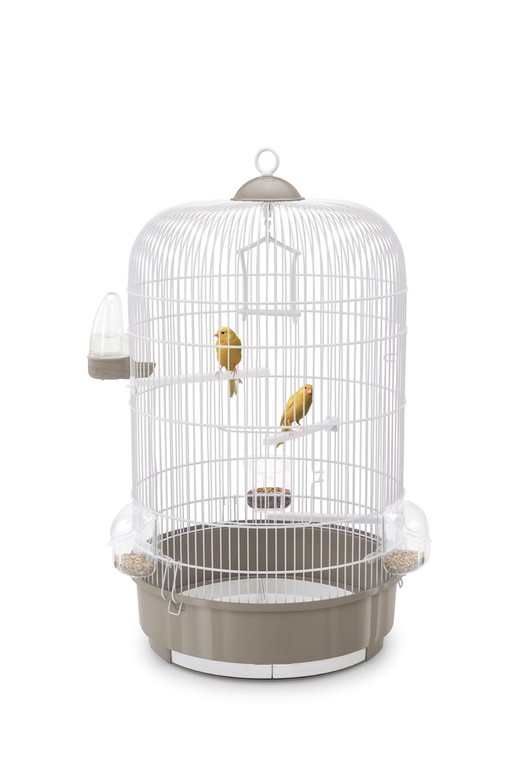 Изображение на странице