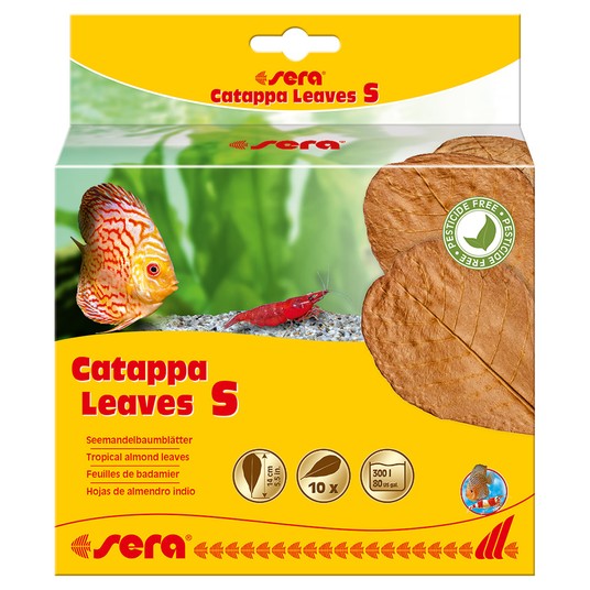 Листья индийского миндаля "Catappa Leaves S", 14 см