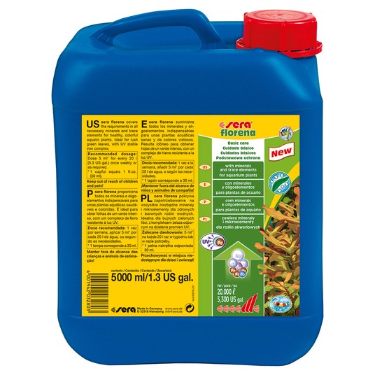 Изображение на странице