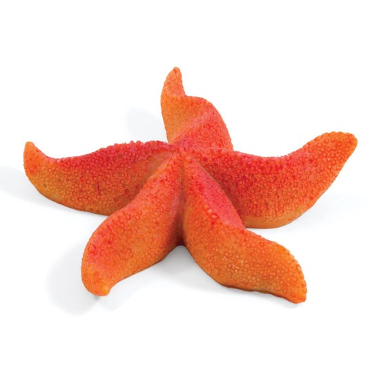 Изображение на странице