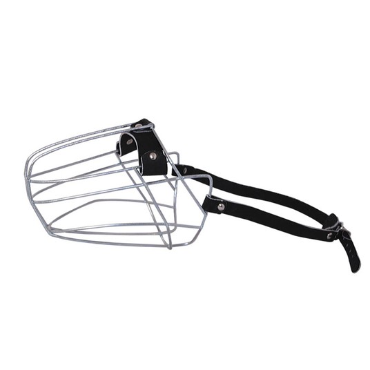 Изображение на странице