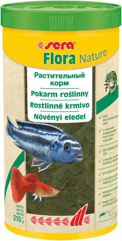 Изображение на странице