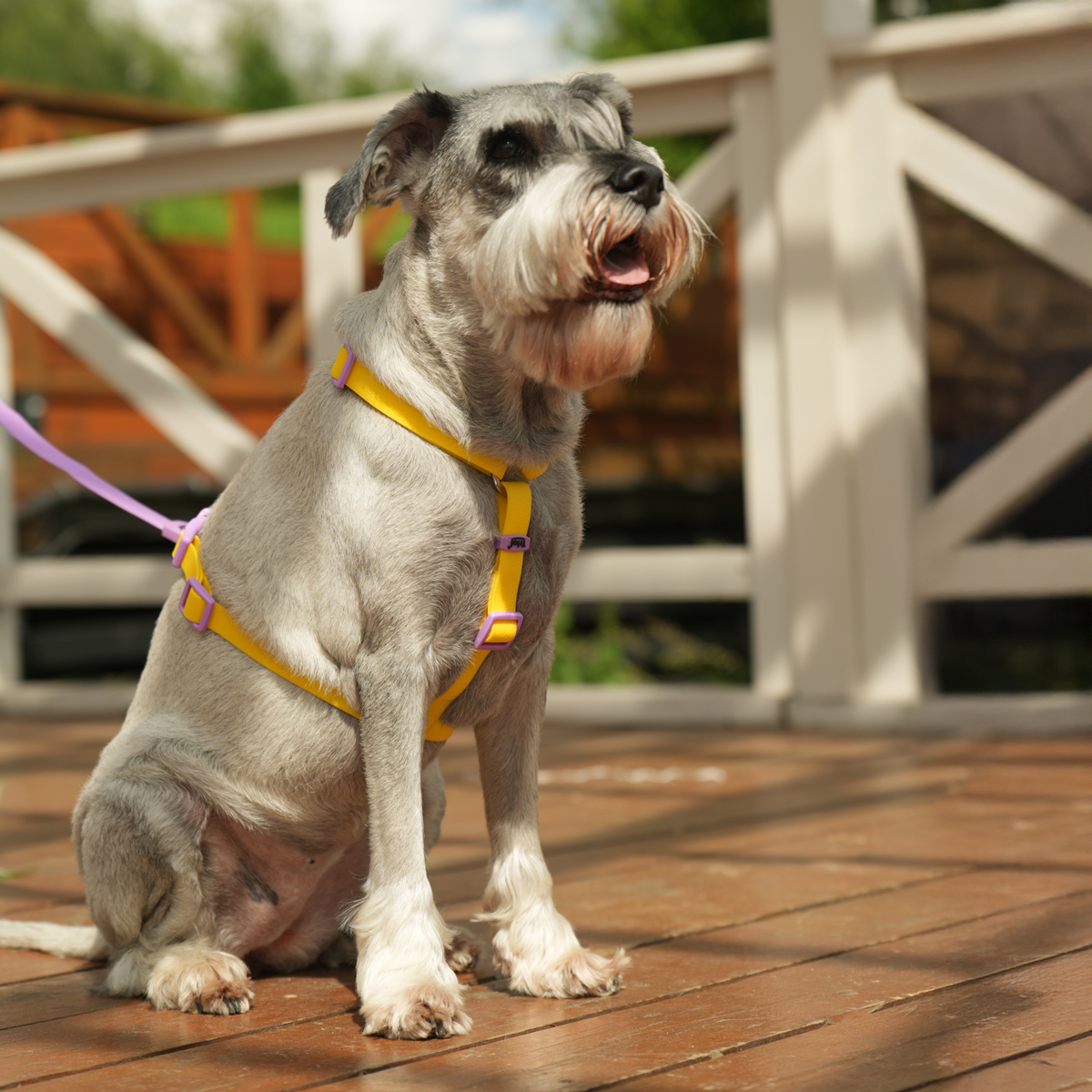 Изображение на странице