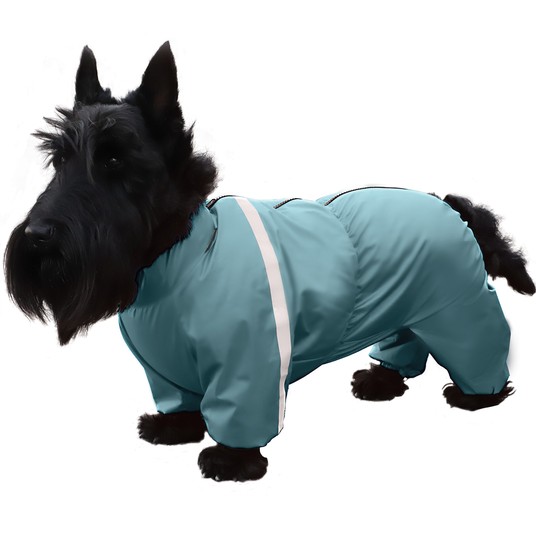 Изображение на странице