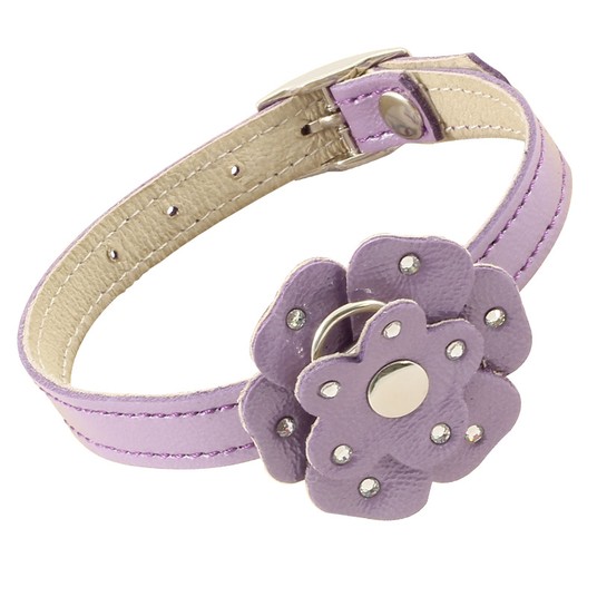 Изображение на странице