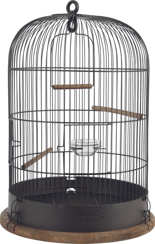 Изображение на странице