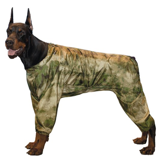 Изображение на странице