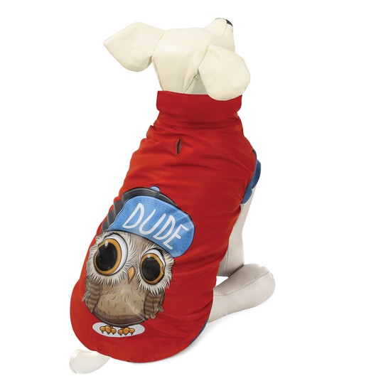 Изображение на странице