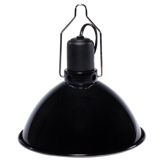 Изображение на странице