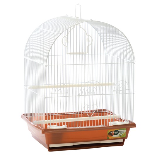 Изображение на странице