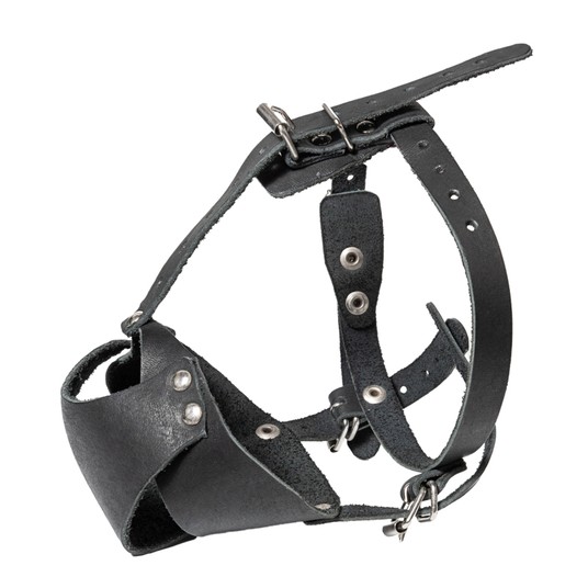 Изображение на странице