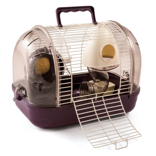 Изображение на странице