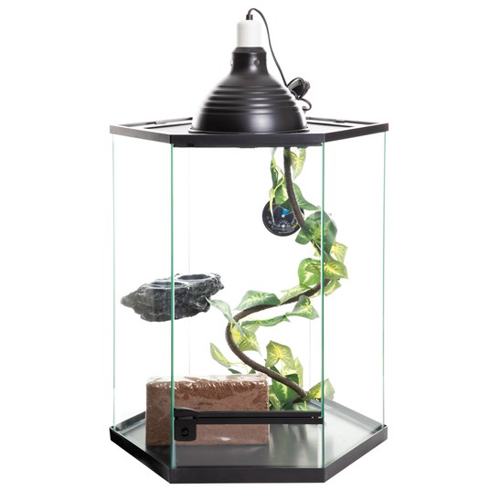 Изображение на странице