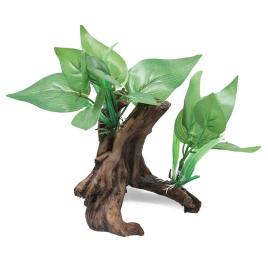 Изображение на странице