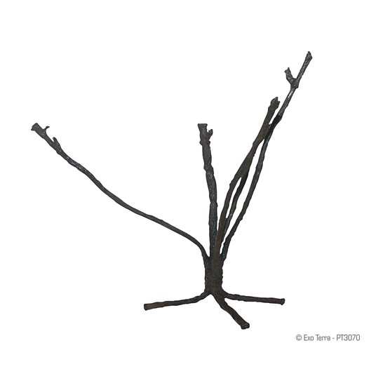 Изображение на странице