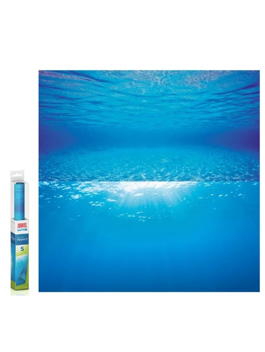 Изображение на странице