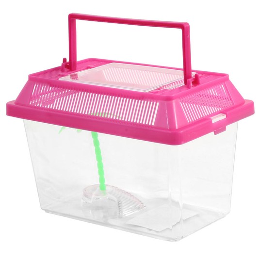 Изображение на странице