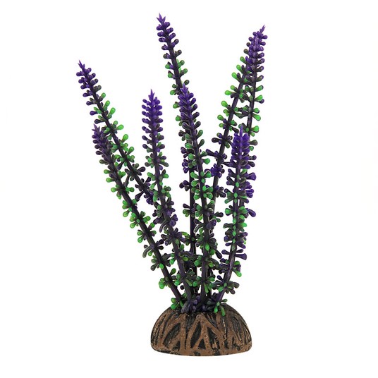 Изображение на странице