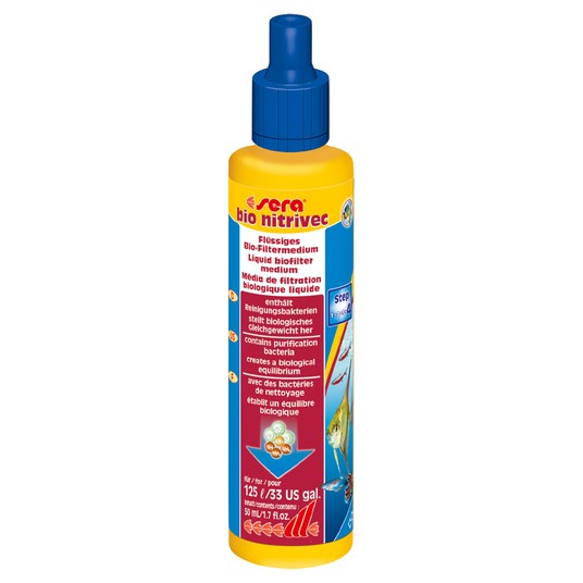 Изображение на странице