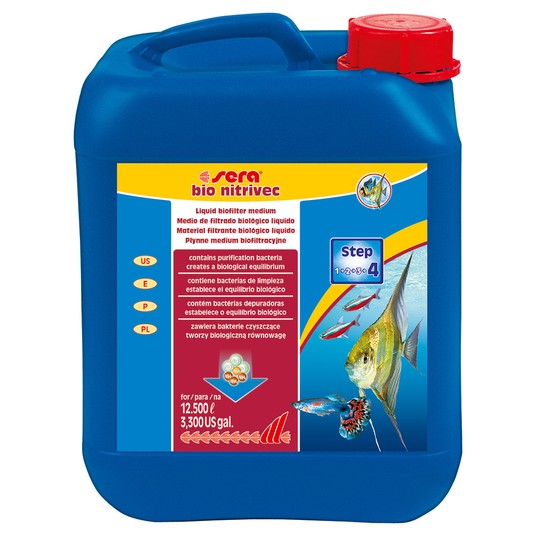 Изображение на странице