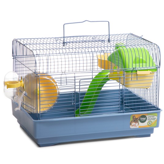 Изображение на странице