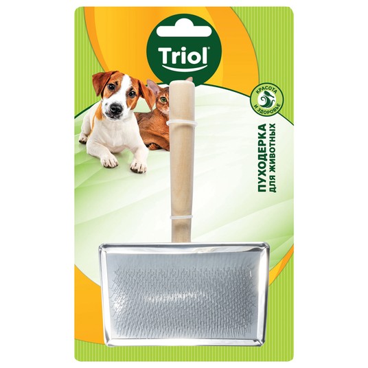 Изображение на странице